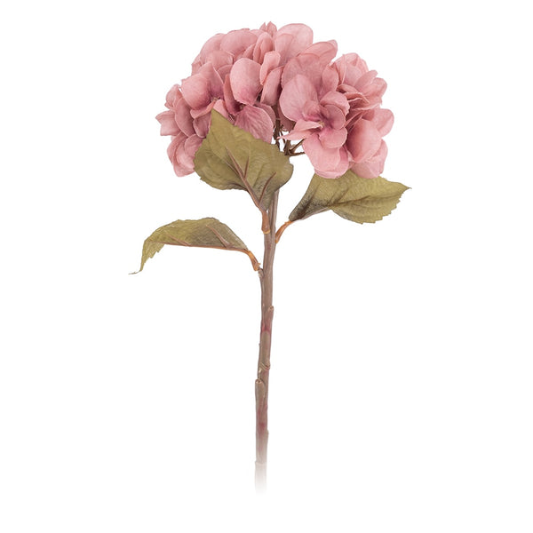 Hydrangea Flower Branch-ToShay.org