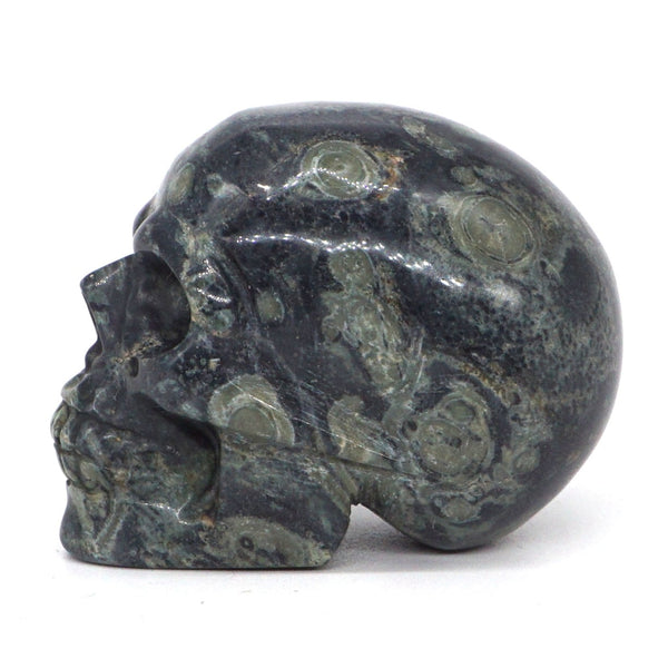 Green Kambaba Jasper Skull-ToShay.org