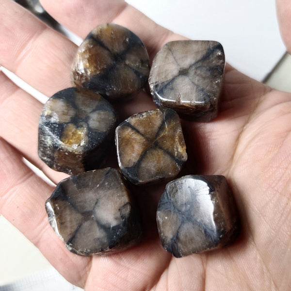 Black Grenatite Stones-ToShay.org