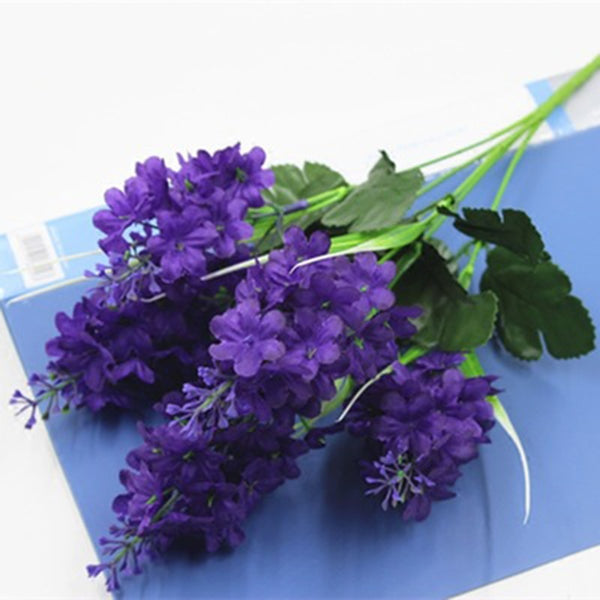 Hyacinth Flowers-ToShay.org