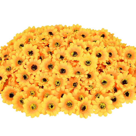 Sunflower Flower Heads-ToShay.org