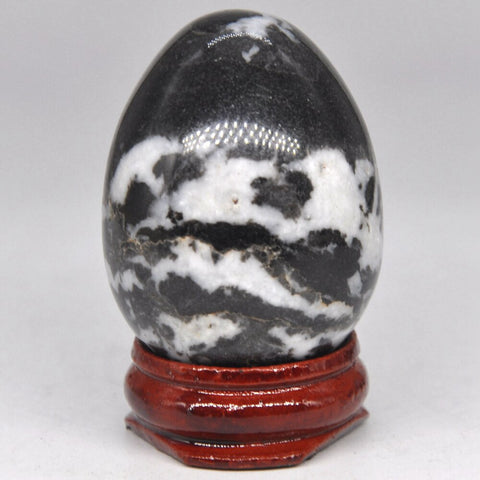 Black White Zebra Egg-ToShay.org