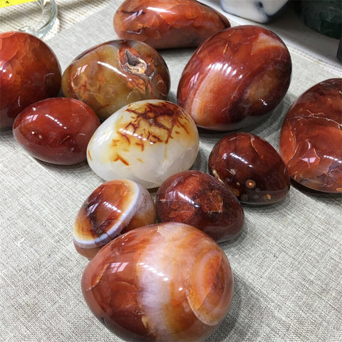 Red Agate Eggs-ToShay.org
