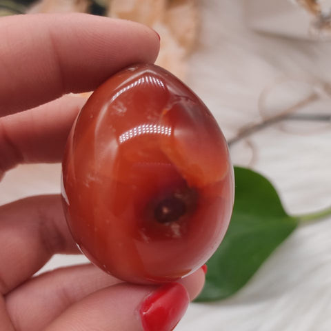 Red Agate Egg-ToShay.org