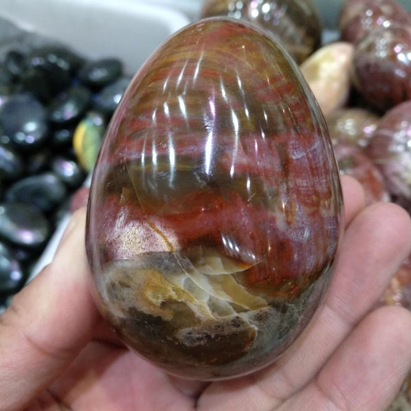 Red Petrified Wood Stone Egg-ToShay.org