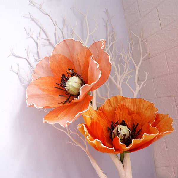Poppy Flower Heads-ToShay.org