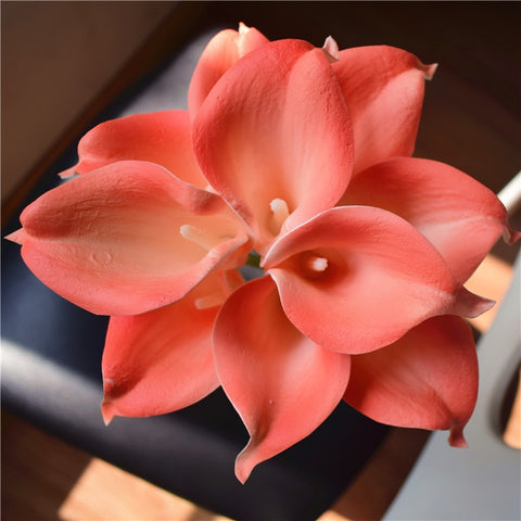 Coral Callas Lilies-ToShay.org