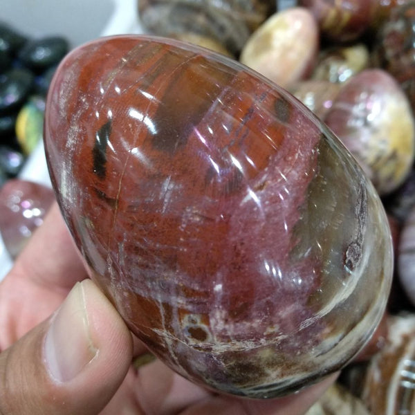 Red Petrified Wood Stone Egg-ToShay.org