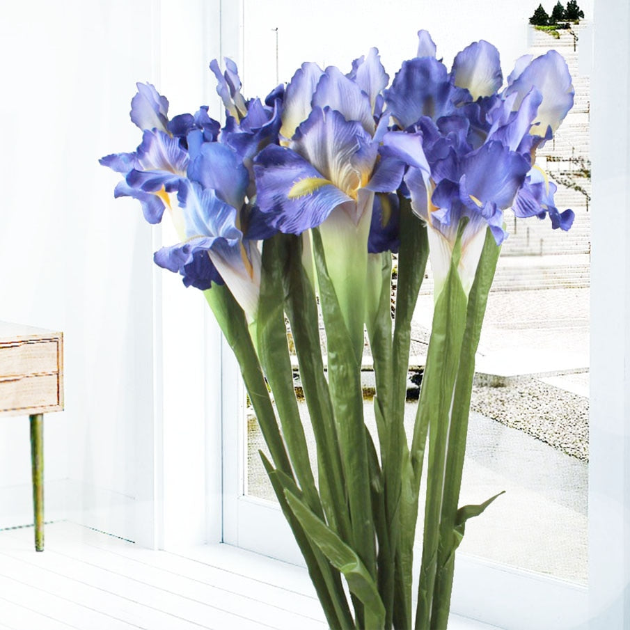 Iris Flower Stems-ToShay.org