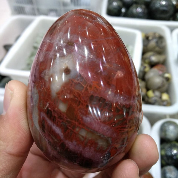 Red Petrified Wood Stone Egg-ToShay.org