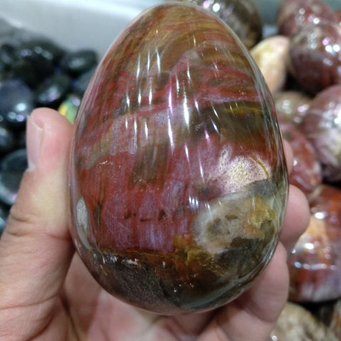 Red Petrified Wood Stone Egg-ToShay.org