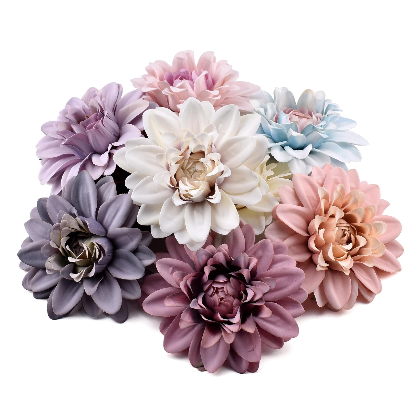 Dahlia Flower Heads-ToShay.org