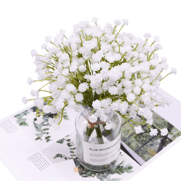 White Gypsophila Flowers-ToShay.org