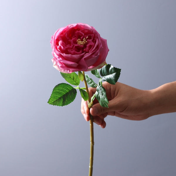 Rose Peony Flowers-ToShay.org