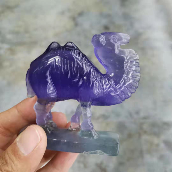 Purple Fluorite Camel-ToShay.org