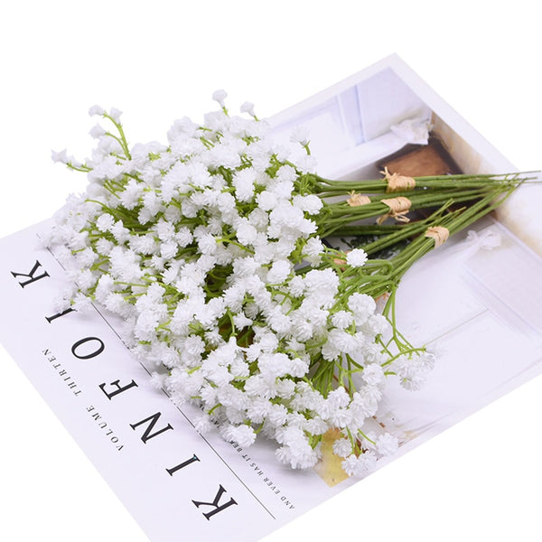 White Gypsophila Flowers-ToShay.org