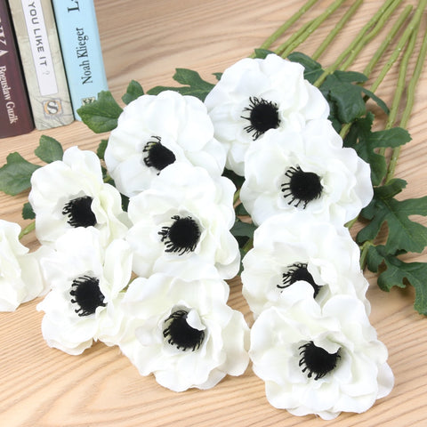 White Anemone Flower-ToShay.org