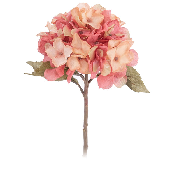 Hydrangea Flower Branch-ToShay.org