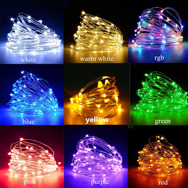 Copper Wire LED Fairy Lights String-ToShay.org