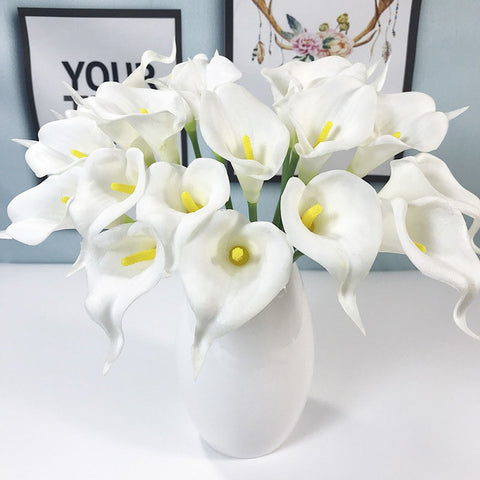 Calla Lily Flowers-ToShay.org