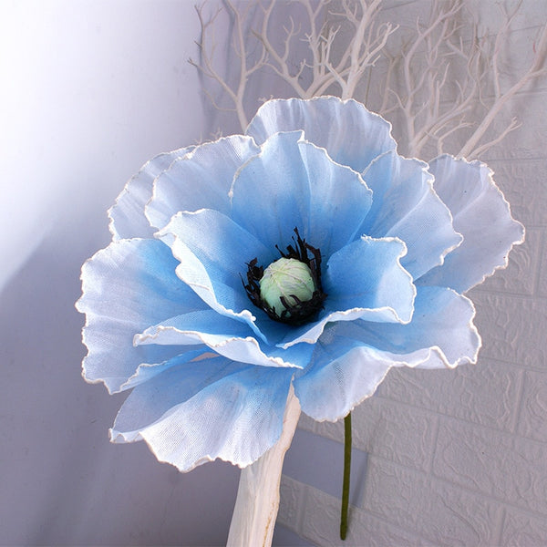 Poppy Flower Heads-ToShay.org