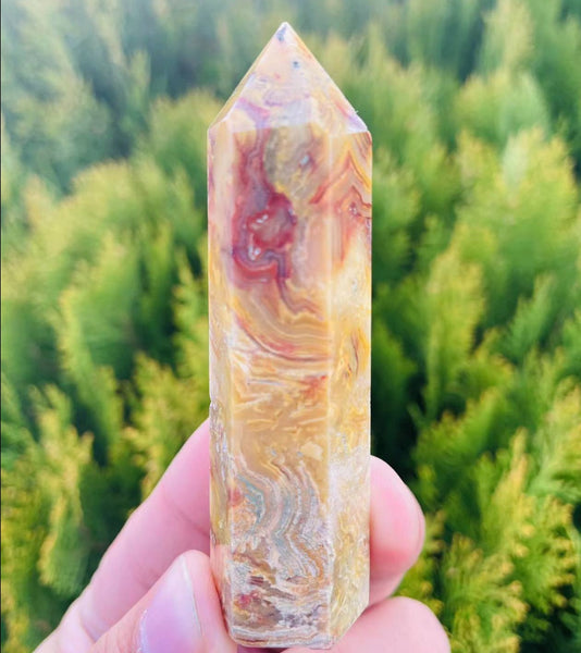 Yellow Crazy Lace Agate-ToShay.org