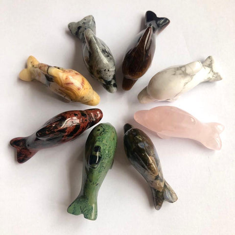Mixed Crystal Dolphins-ToShay.org
