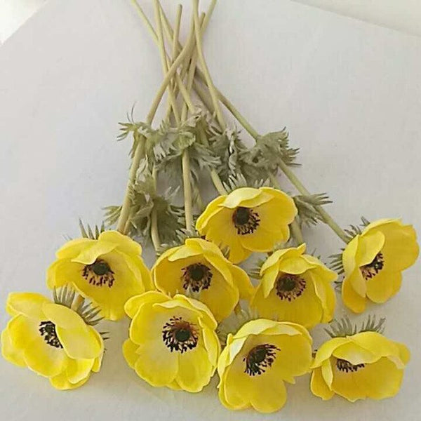 Anemone Flowers-ToShay.org