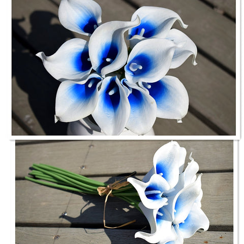 Picasso Blue Calla Lilies-ToShay.org