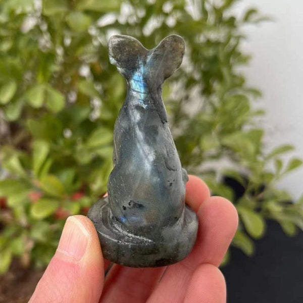 Blue Labradorite Moonstone Cat-ToShay.org