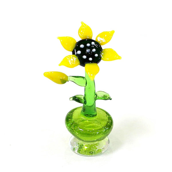 Glass Flower Pots-ToShay.org