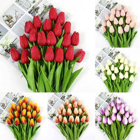 Tulip Flowers-ToShay.org