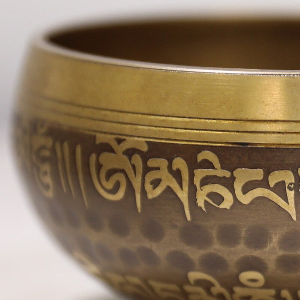 Tibetan Singing Bowl-ToShay.org