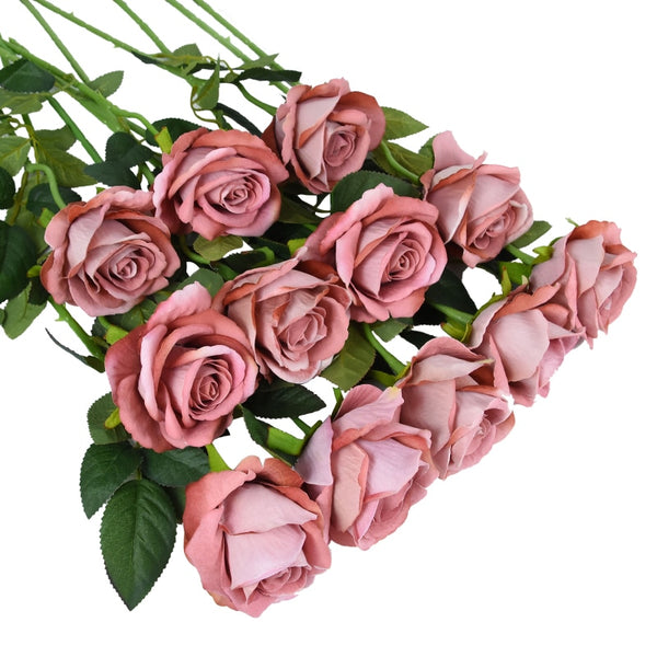 Rose Flower Stems-ToShay.org