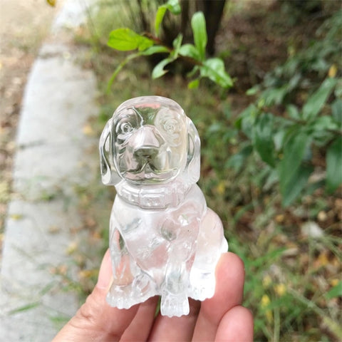 Clear Quartz Crystal Dog-ToShay.org