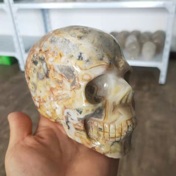 Yellow Crazy Agate Skull-ToShay.org