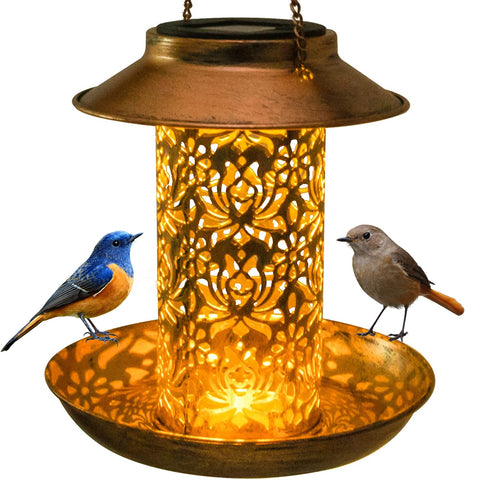 Bird Feeder Solar Light-ToShay.org