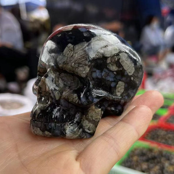 Black Glaucophane Crystal Skull-ToShay.org