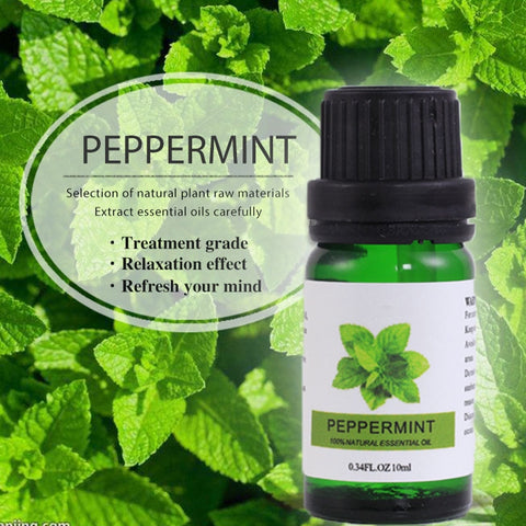 Peppermint Essential Oil-ToShay.org