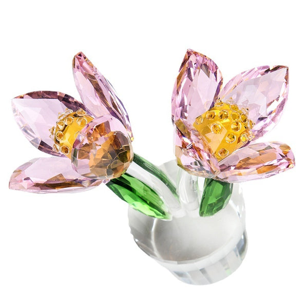 Pink Tulip Pots-ToShay.org
