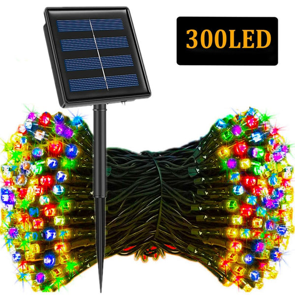 String Fairy Lights-ToShay.org