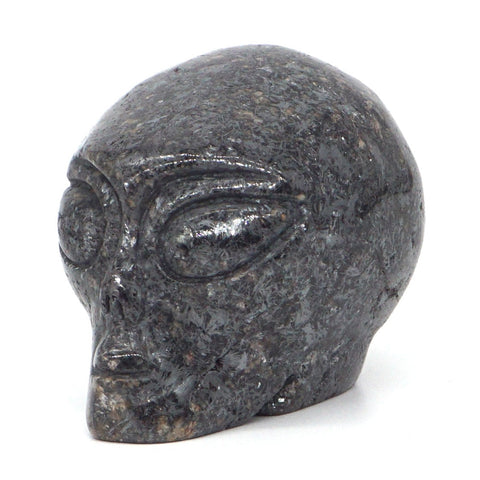 Grey Meteorite Crystal Alien Skull-ToShay.org