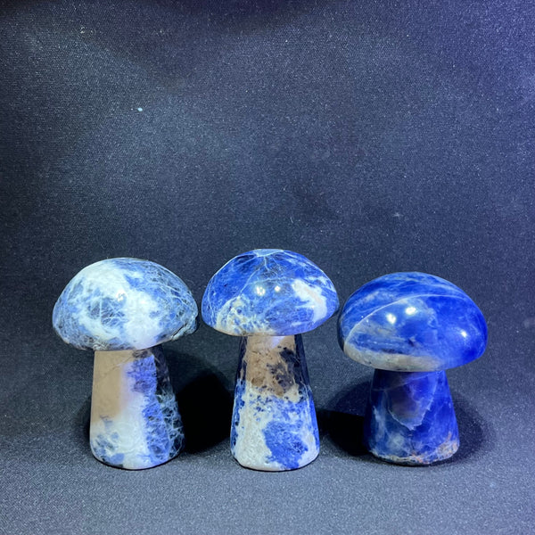 Blue Veins Stone Mushroom-ToShay.org