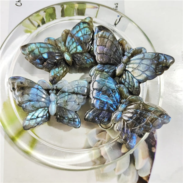 Mixed Crystal Butterfly-ToShay.org