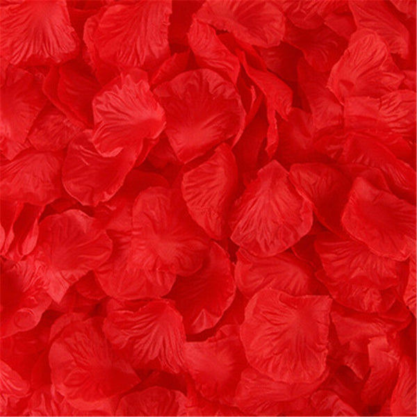 Rose Flower Petals-ToShay.org