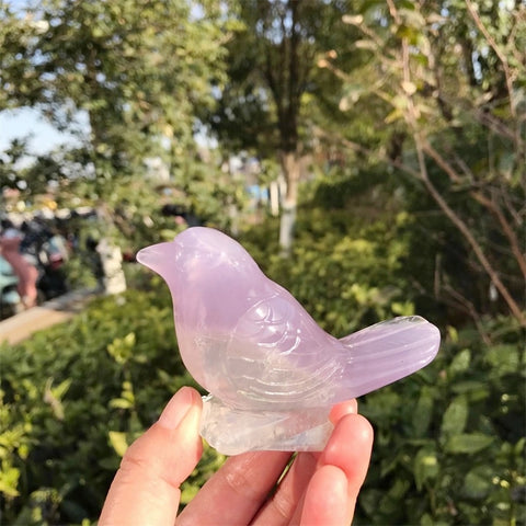 Purple Fluorite Bird-ToShay.org