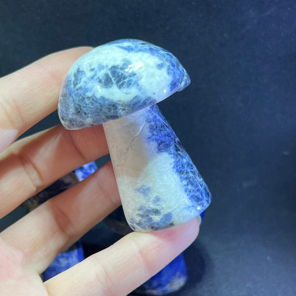 Blue Veins Stone Mushroom-ToShay.org
