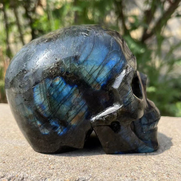 Blue Labradorite Skull-ToShay.org