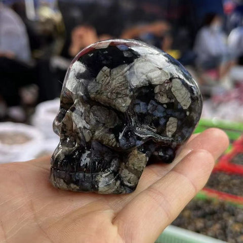 Black Glaucophane Crystal Skull-ToShay.org
