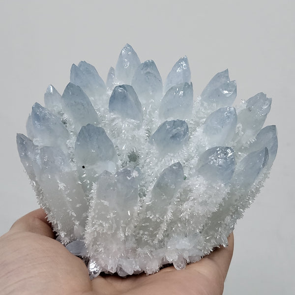Blue Phantom Quartz Crystal Cluster-ToShay.org